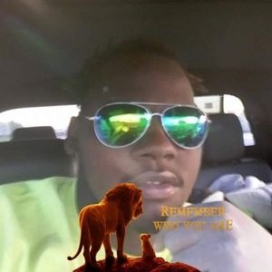 Meet your Posher, Sylvester